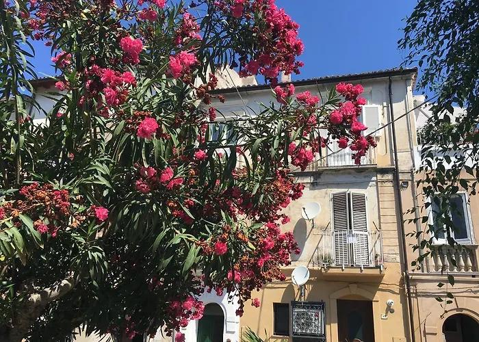 With Sea View Tropea